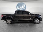 2013 Ford F-150 Platinum