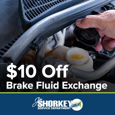 Brake Fluid Exchange